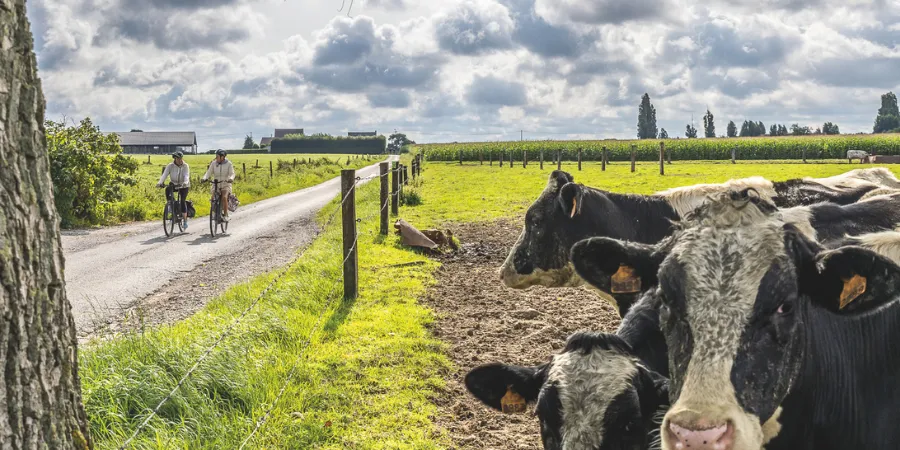 Tielt landelijke wegen