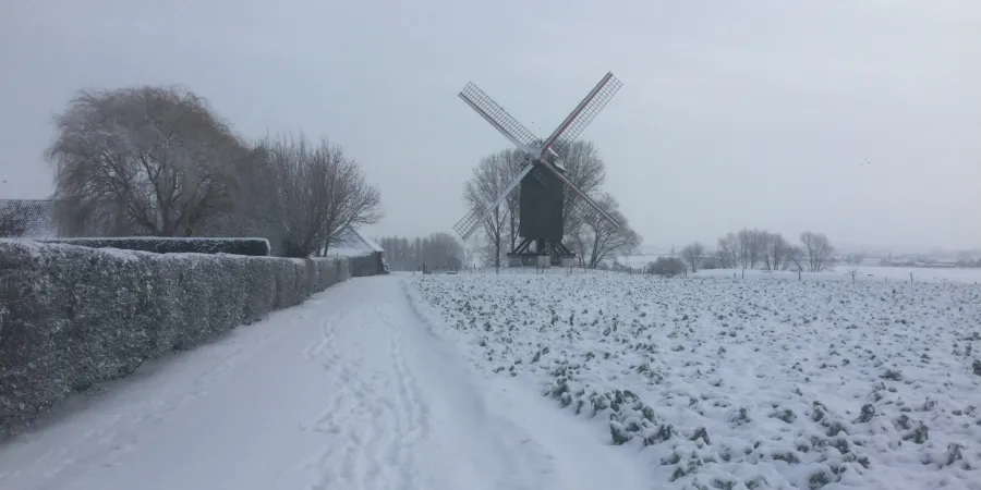 Poelbergmolen winter