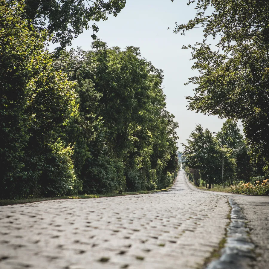 Neringenstraat Neringenstraat