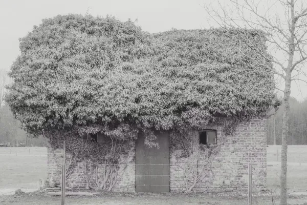 Fotografiecircuit: Landmarks & State of Transience