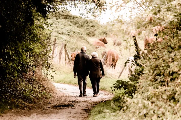 BERENSTAPPERS: NAMIDDAGWANDELING