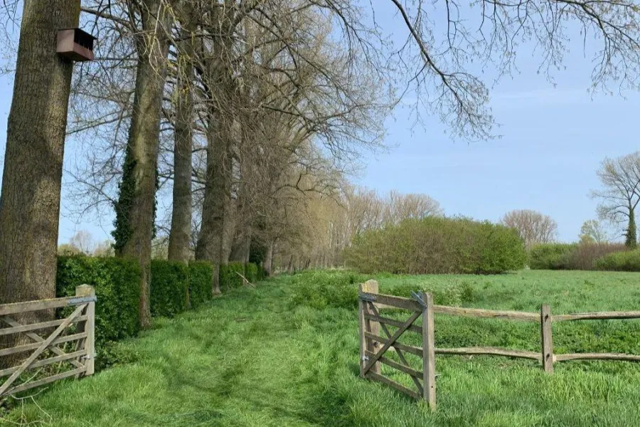 Natuur en Gezondheid