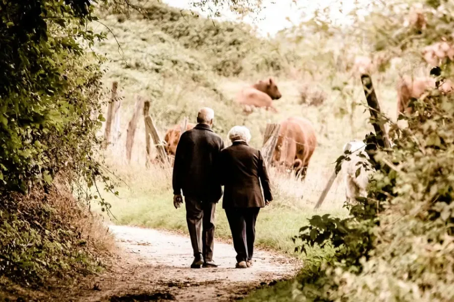 BERENSTAPPERS: NAMIDDAGWANDELING