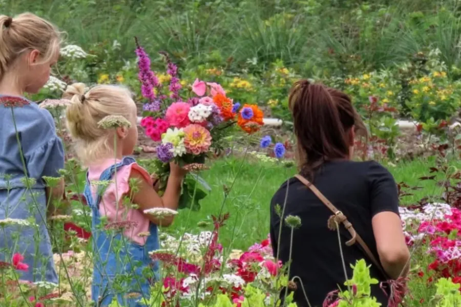 Het verhaal achter bloemenpluktuin Herenthoeve