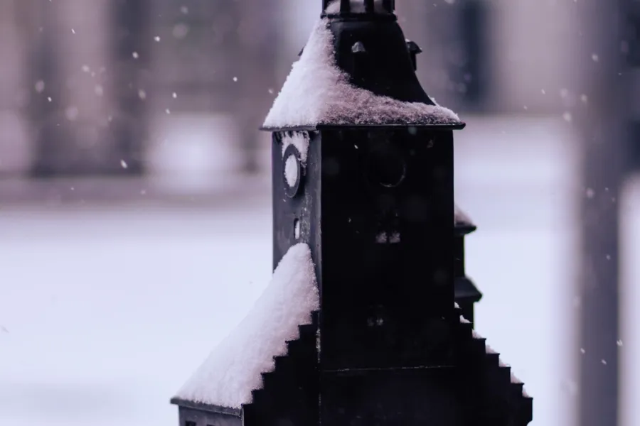 wonder winter tielt