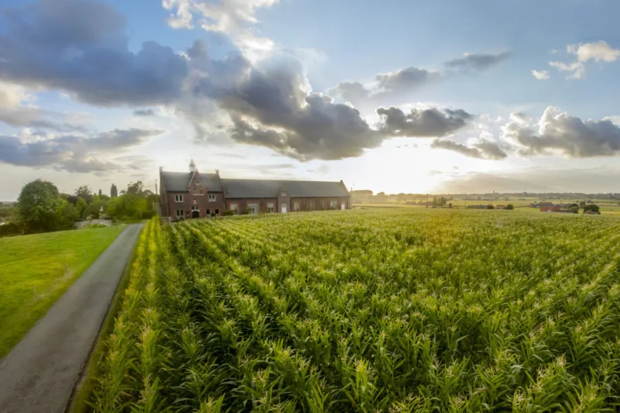 © Stad Tielt