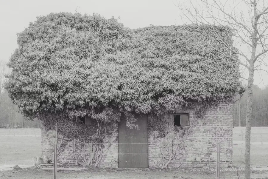 Fotografiecircuit: Landmarks & State of Transience