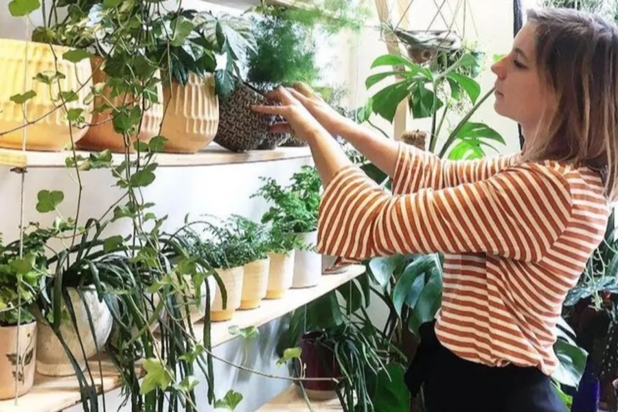 Plantjesverkoop