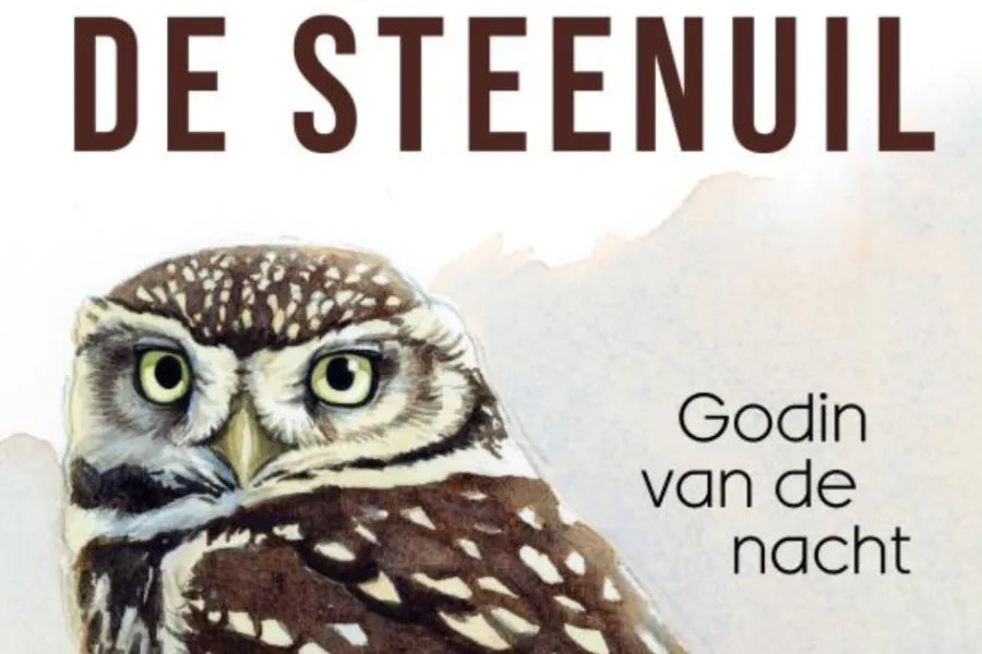 Biografie van DE STEENUIL - Godin van de Nacht