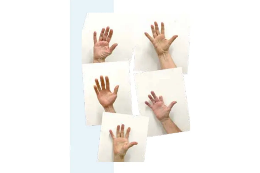 © Beleven Tielt - Handwerk 