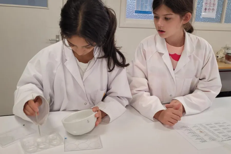 Infomomenten Scholen Molenland