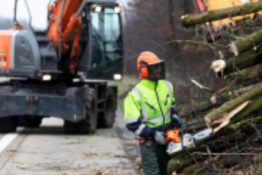 Het is weer tijd voor hakhoutbeheer
