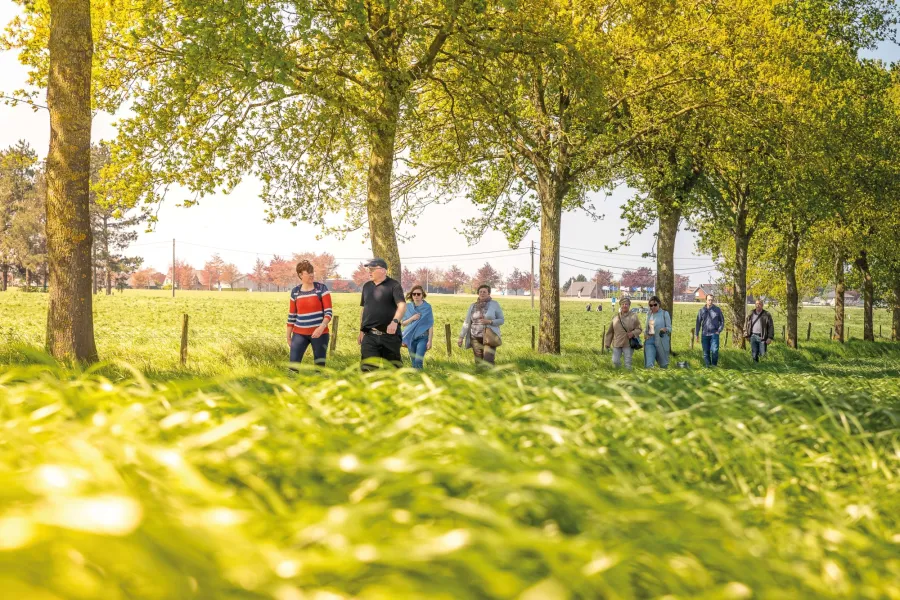 wandelen