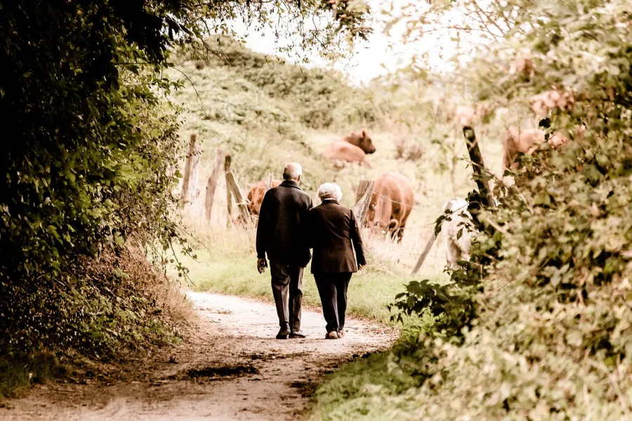 BERENSTAPPERS: NAMIDDAGWANDELING