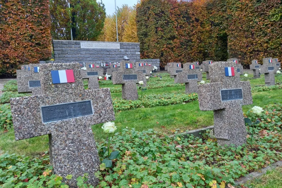 TIELTR 11 november