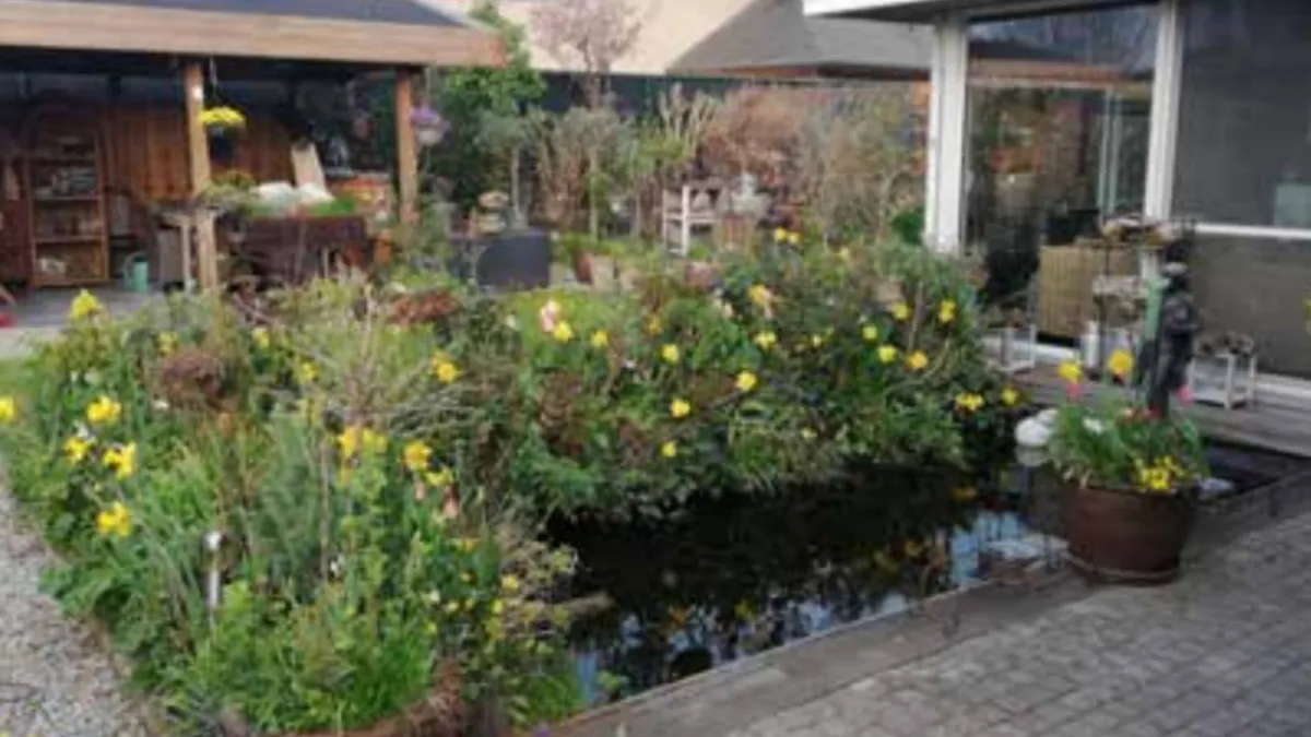 © Stad Tielt - BEBLOEMINGSWEDSTRIJD