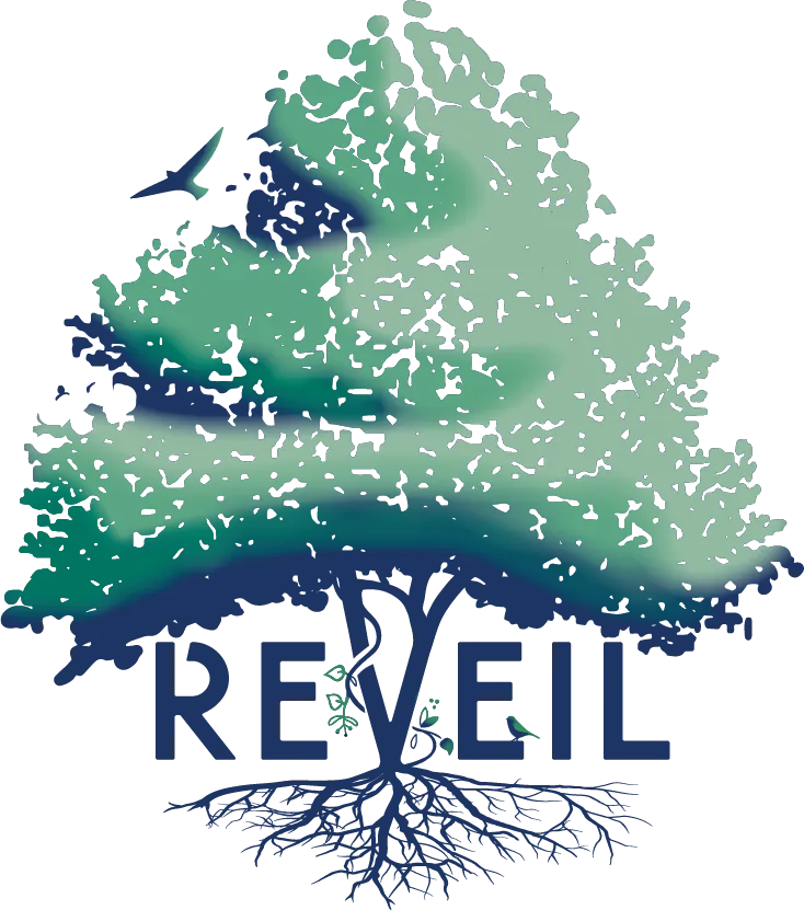 Reveil Vlaanderen